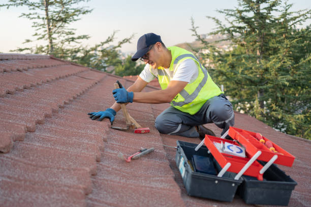 Best Roof Gutter Cleaning  in Arthur, IL